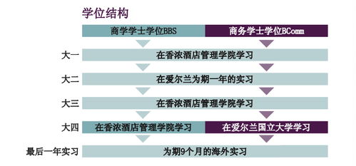 为何选择爱尔兰香侬酒店管理学院 开启卓越酒店管理职业生涯的明智之选